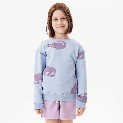 Boho Cats Sweatshirt