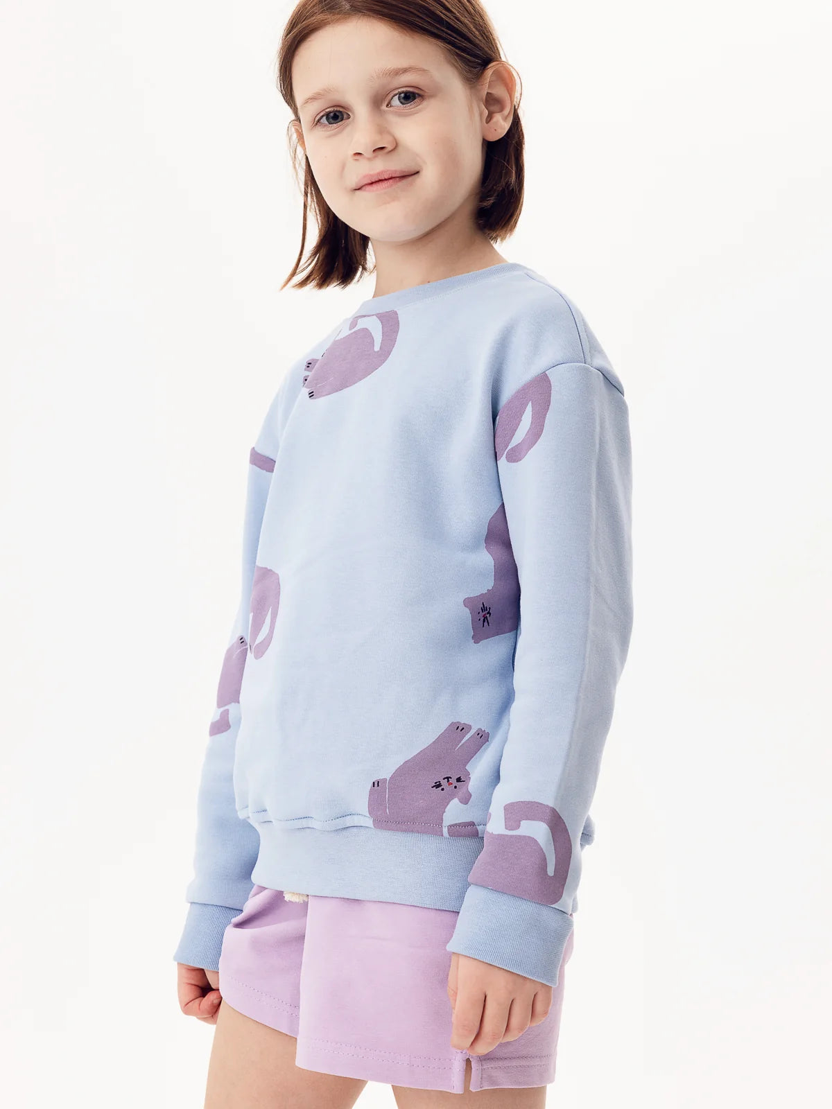 Boho Cats Sweatshirt