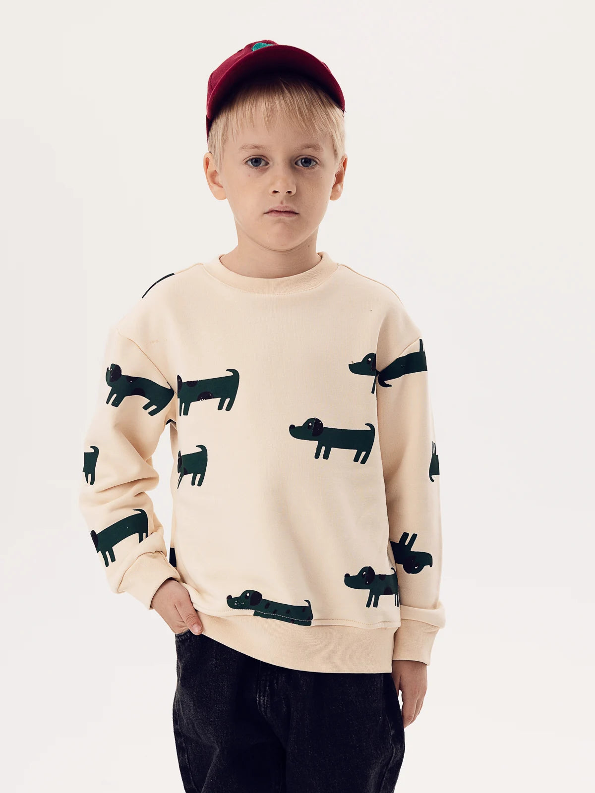 Suspicious Dogs Sweatshirt