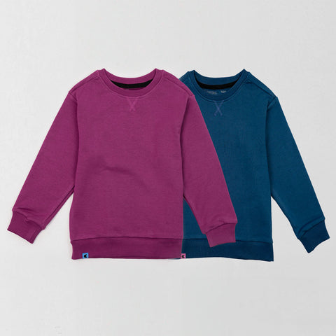 The Sweatshirt 2-pack